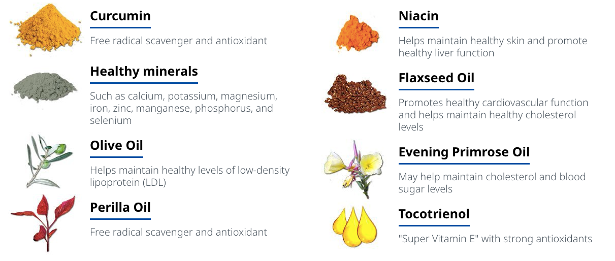 Ukon Tumeric